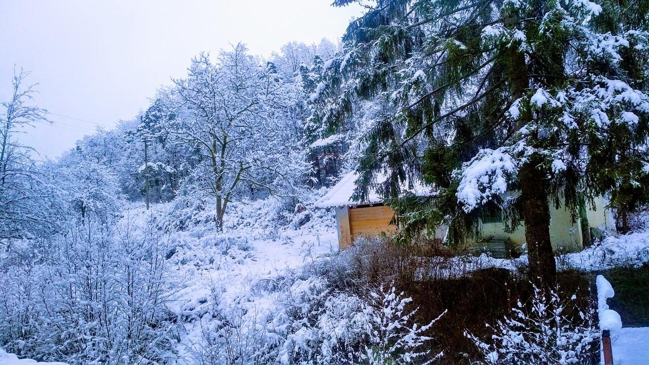 Giusvalla Forest Village Dego Екстер'єр фото